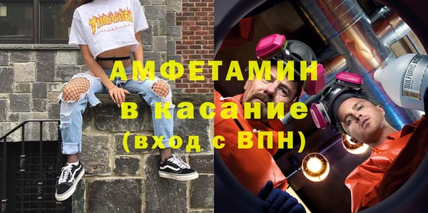 прущие грибы Аркадак