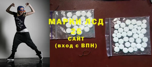 винт Алзамай