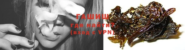 прущие грибы Аркадак