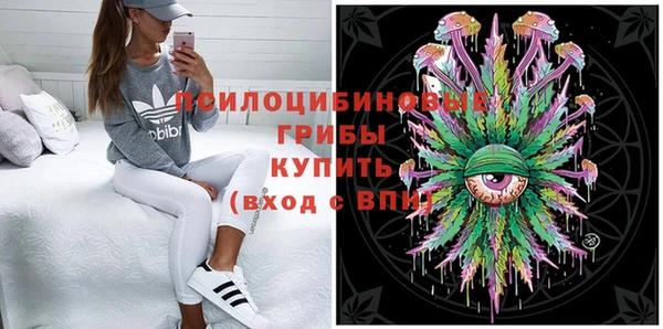 прущие грибы Аркадак
