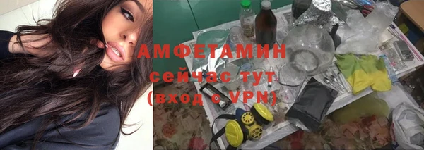 винт Алзамай